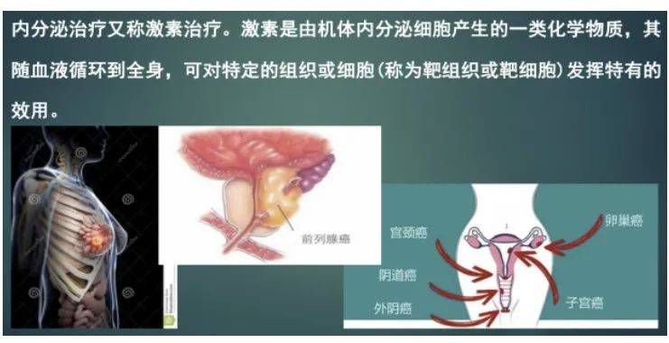 1597371078997655.jpg 86961c47e169f4927725d68ac96e403d.jpg