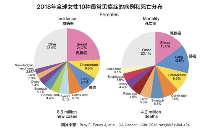 1597371089187442.jpg 996d994cc13b33cd84f2325f32ccaee4.jpg