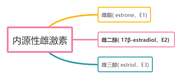 雌激素的种类.png