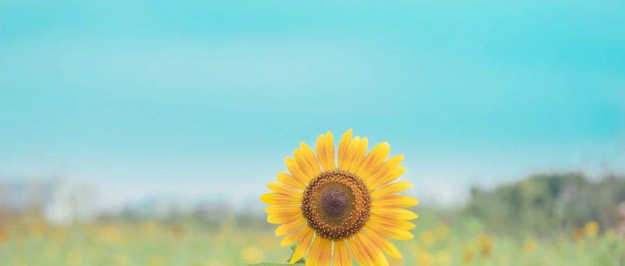 1606200070791056.jpg 9.jpg