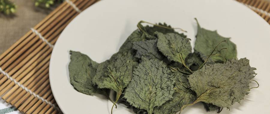 1609841156543177.jpg 紫苏.jpg