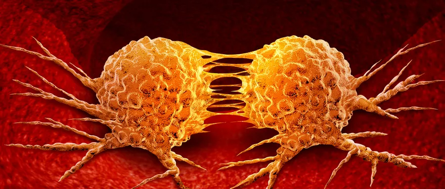 1615175586929304.jpg 癌细胞.jpg