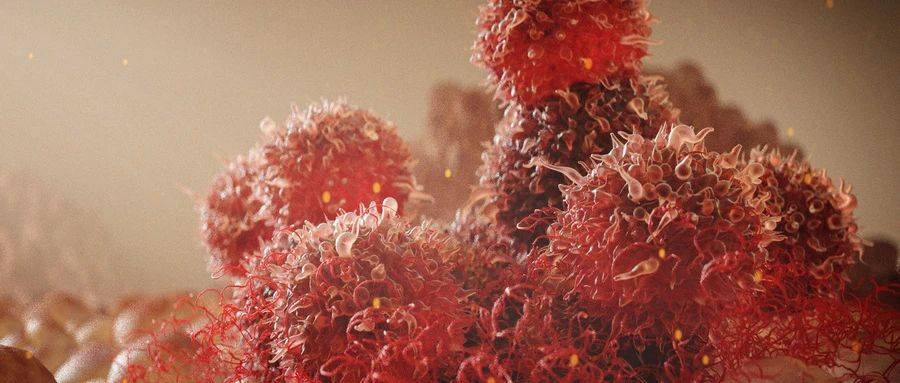 1616484716914831.jpg 微信图片_20210323153102.jpg