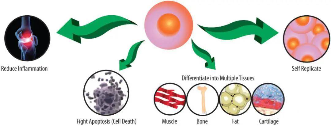 1616652358579644.jpg 微信图片_20210325140550.jpg
