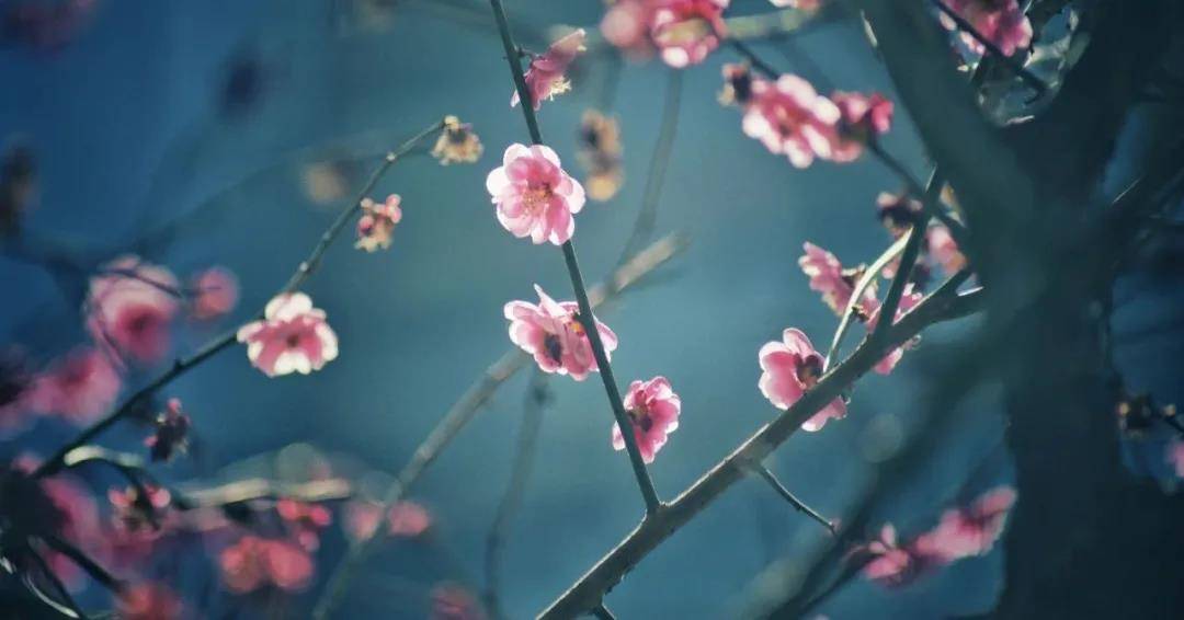 1623377555502263.jpg 微信图片_20210611101228.jpg