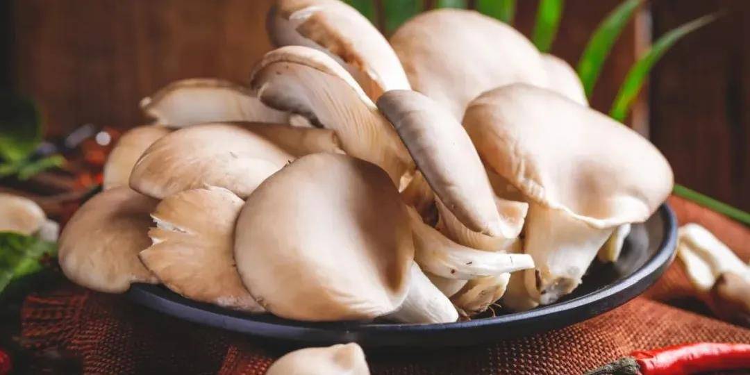 1623379374781914.jpg 33-.jpg