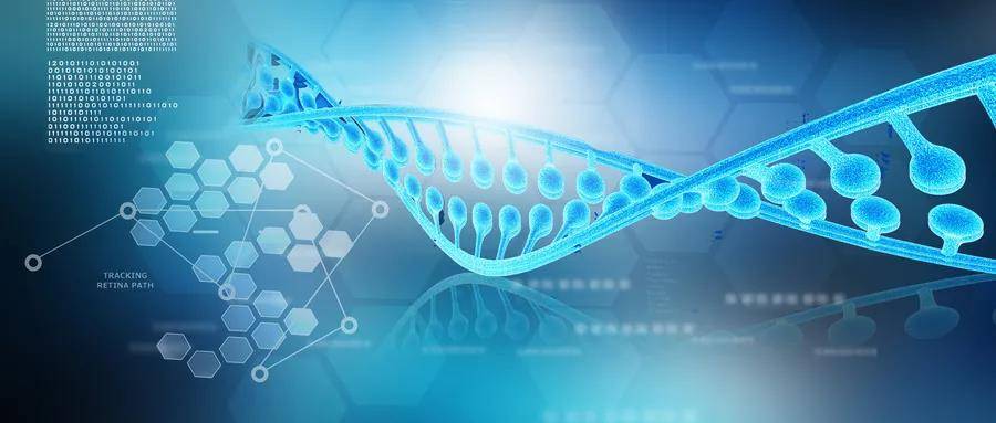 1623392368203663.jpg 1140.jpg