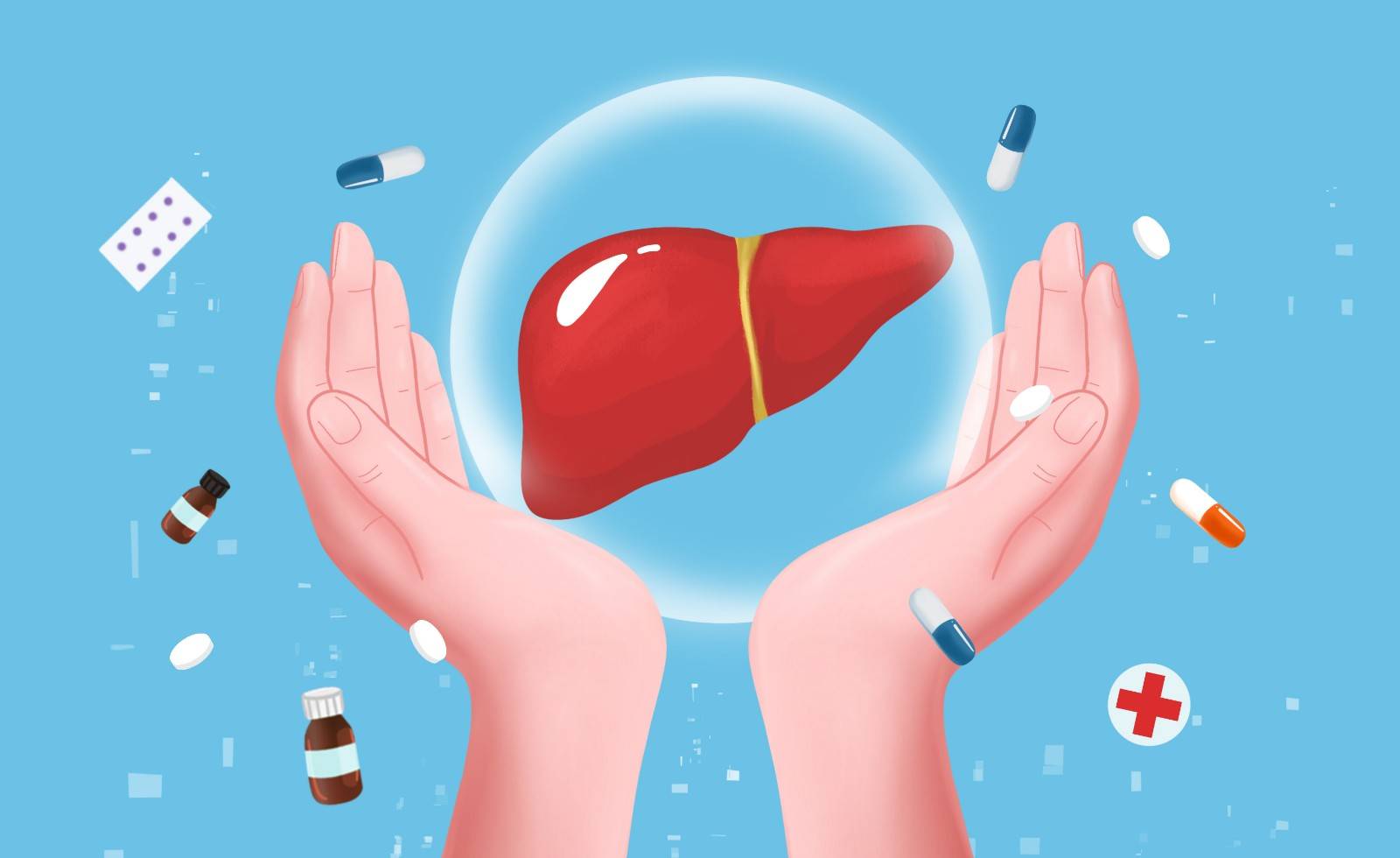 1624255993548048.jpg 摄图网_401904882_双手保护肝脏(企业商用).jpg