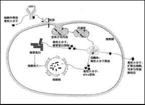 1634092426755940.jpg 微信图片_20211013103324.jpg