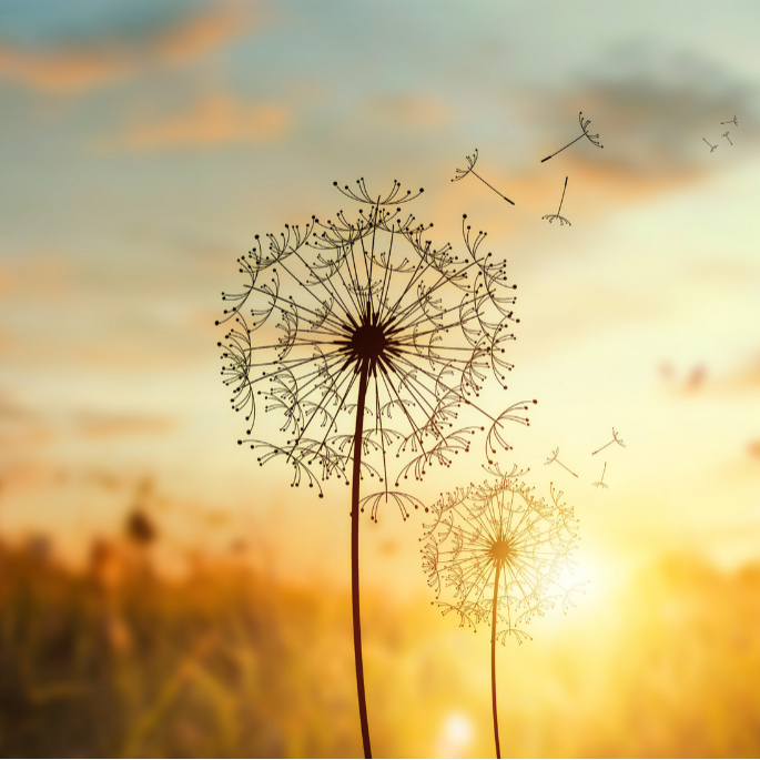 1649235336607086.png 4.6.2.png