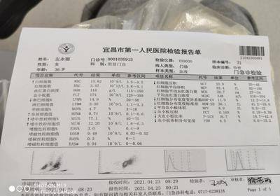 第一次化疗,一周查血情况,姐妹们帮看看