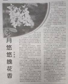 阅读打卡49
