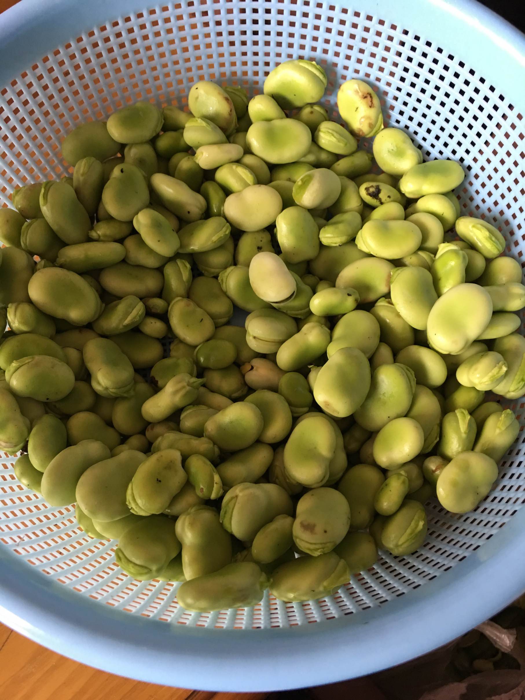 新鲜蚕豆,毛豆上市啦