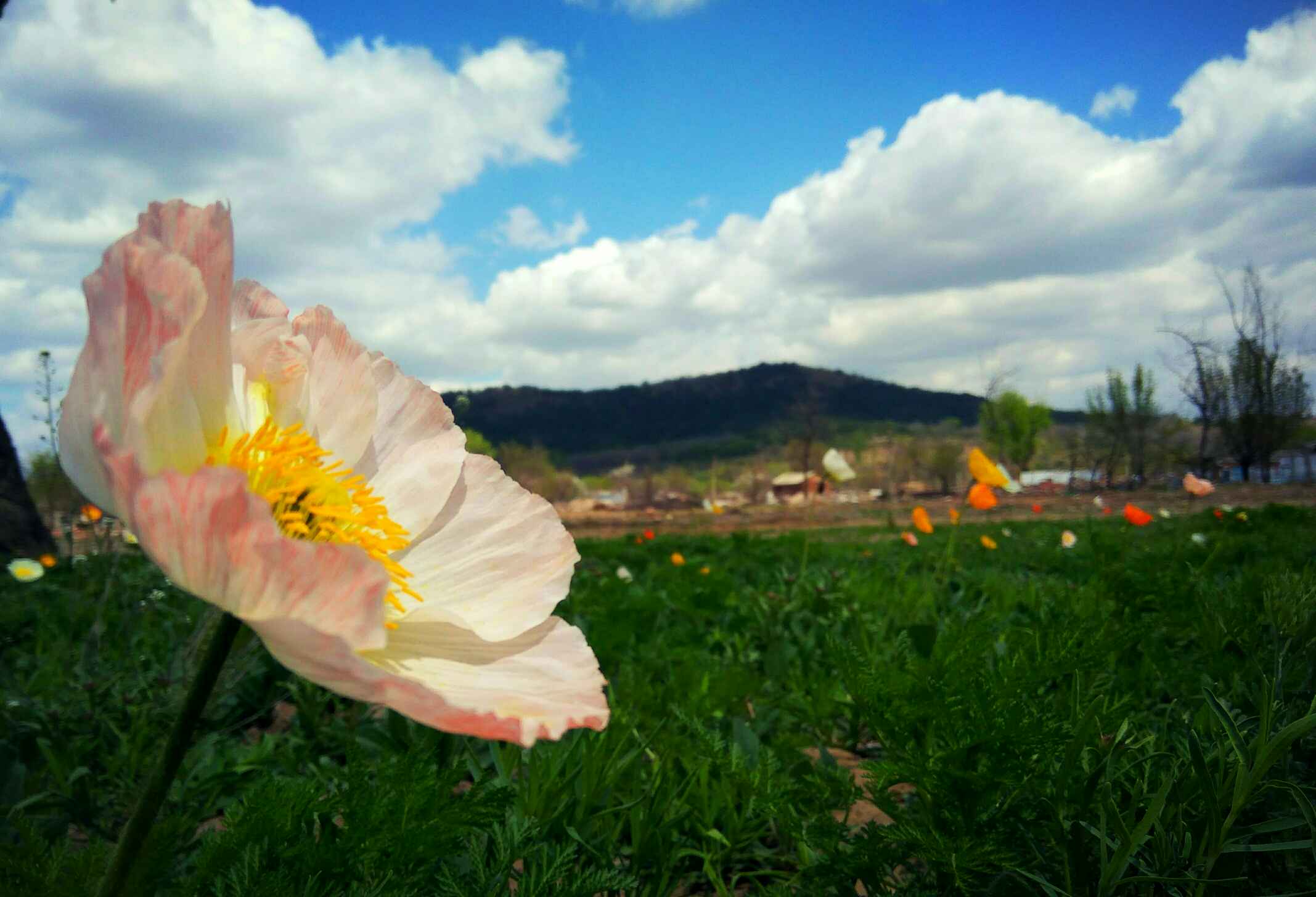 天空蓝蓝的心情美美的!