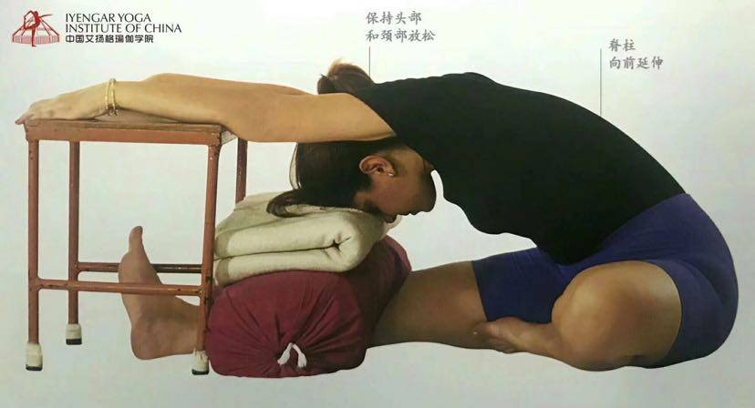 janusirsasana头碰膝前屈式