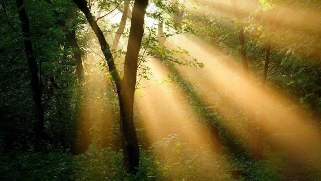 赏读丨每天醒来都是新生