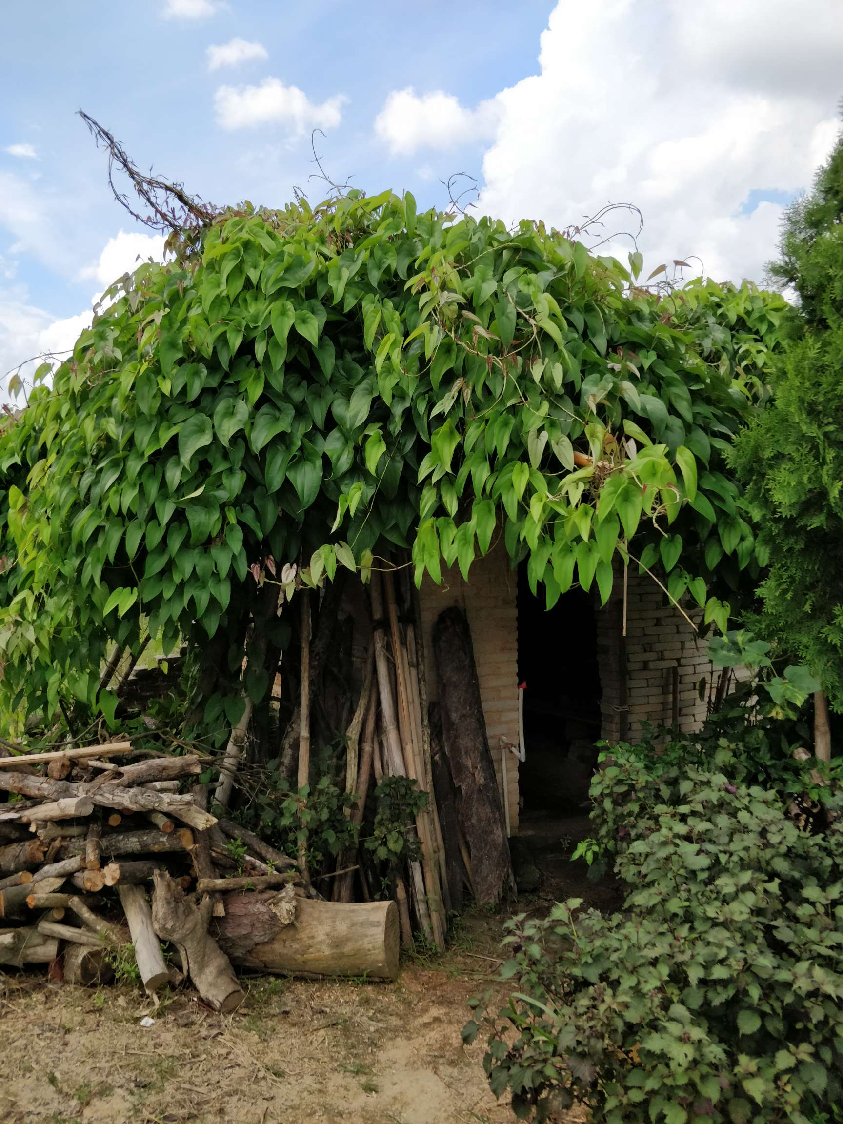 我的老家一山卡拉