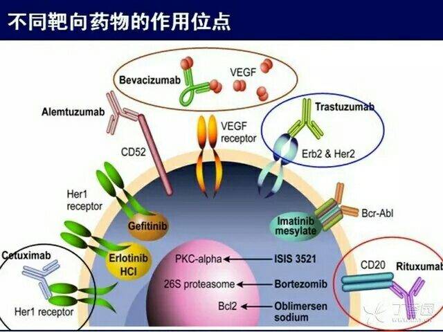 分子靶向治疗大揭秘