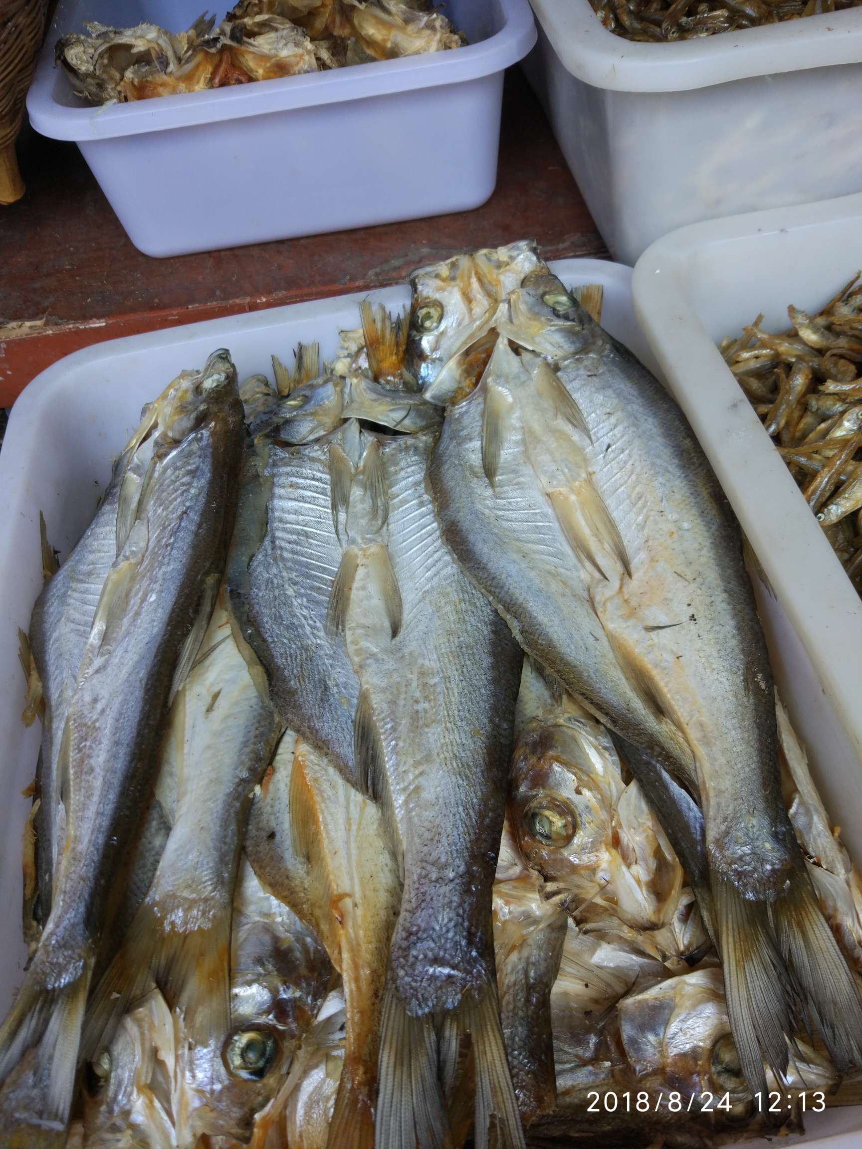 清江鱼的种类图片图片