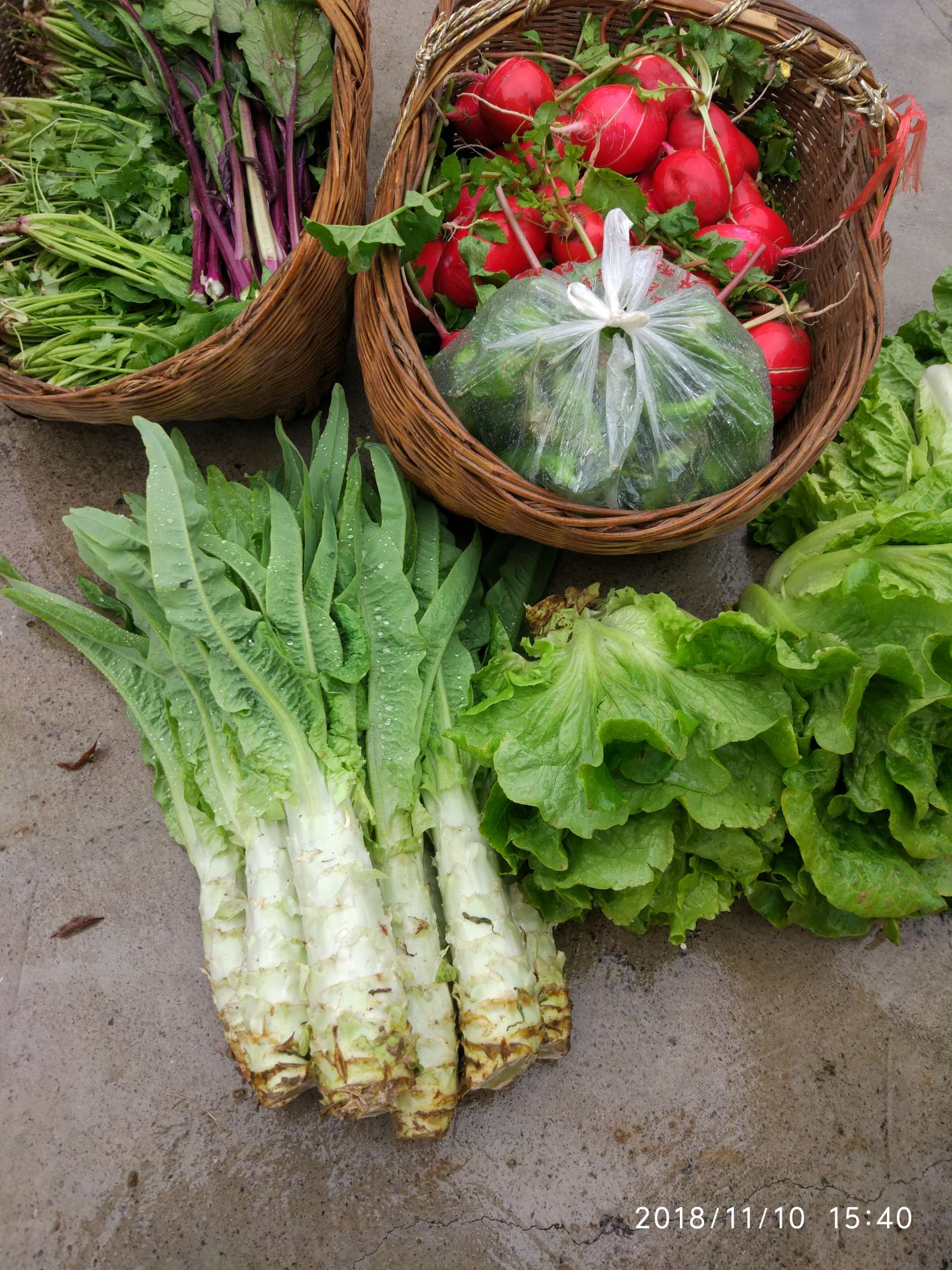 青菜萝卜吃的香