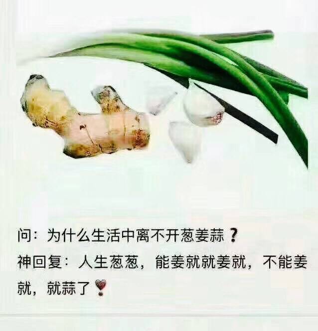 葱姜蒜的关系