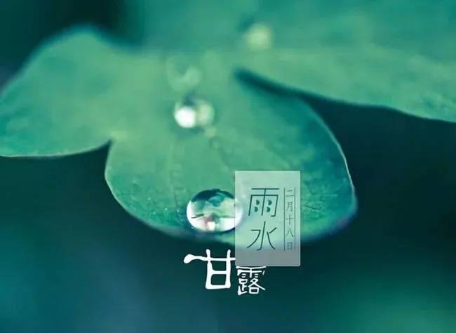 鴻雁傳情草木盛;獺祭春魚感恩情;雨水養生益處多.