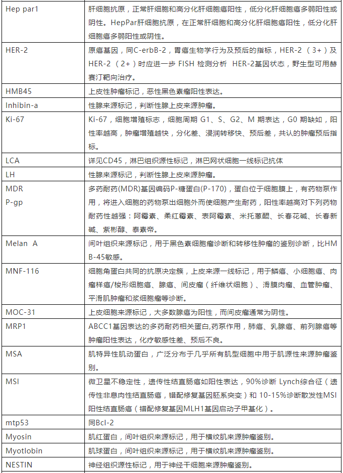 免疫组化结果分析图片