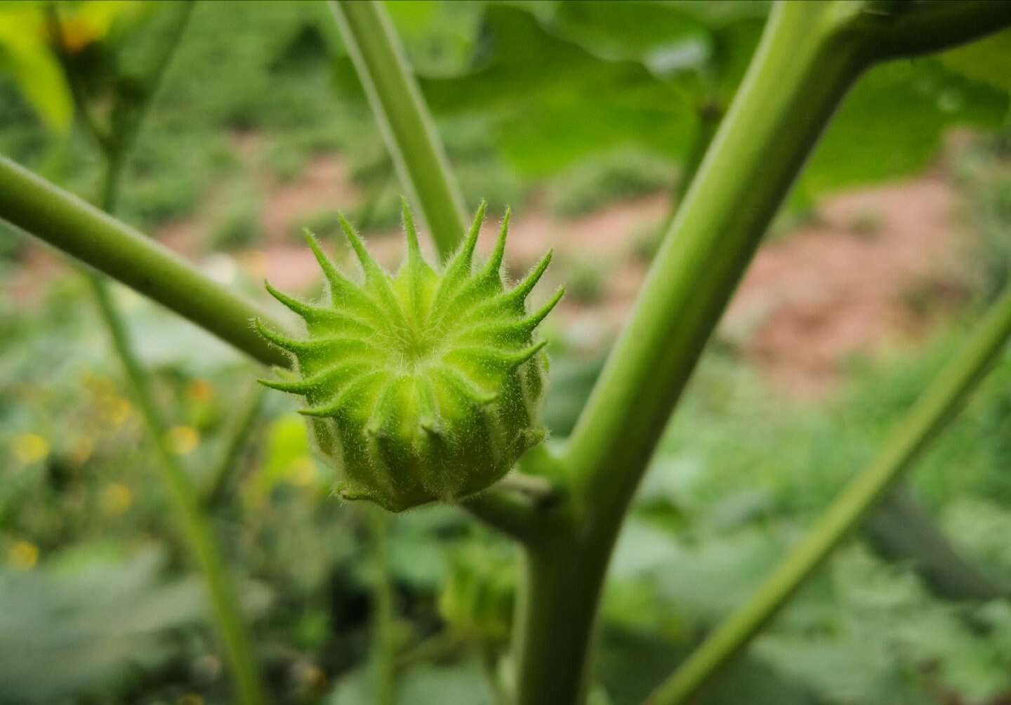 珍惜当下-乳腺癌康复圈-觅健