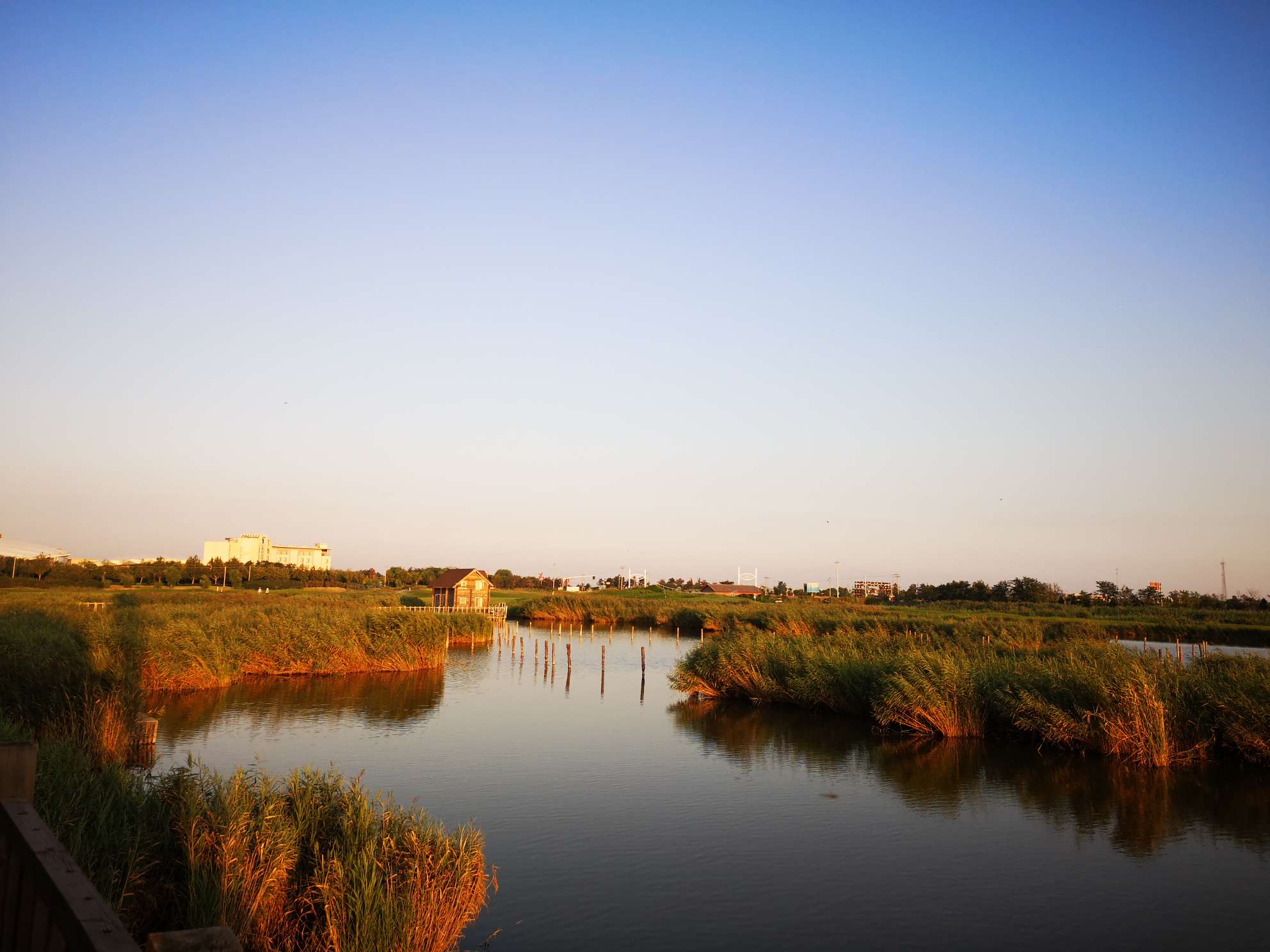 曹妃甸湿地景区图片