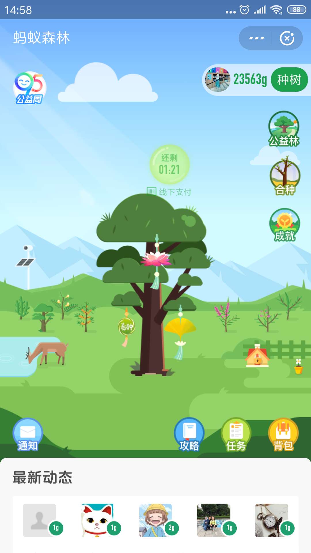 蚂蚁森林的装扮越来越漂亮