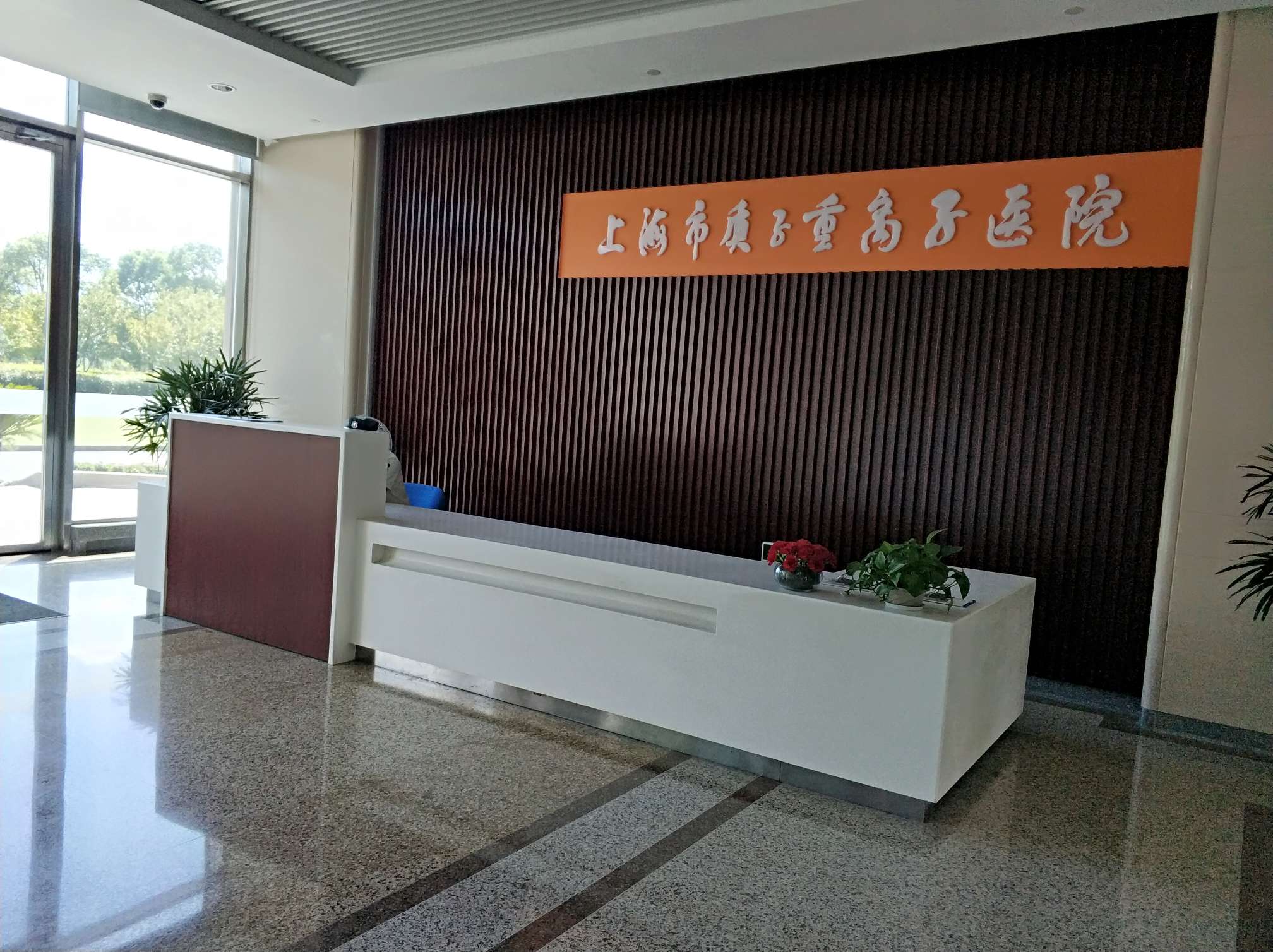 上海质子重离子医院门诊记录