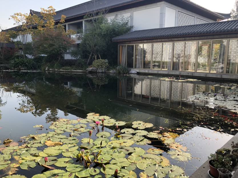 昨天覆查今天就來到杭州西湖國賓館小住三天