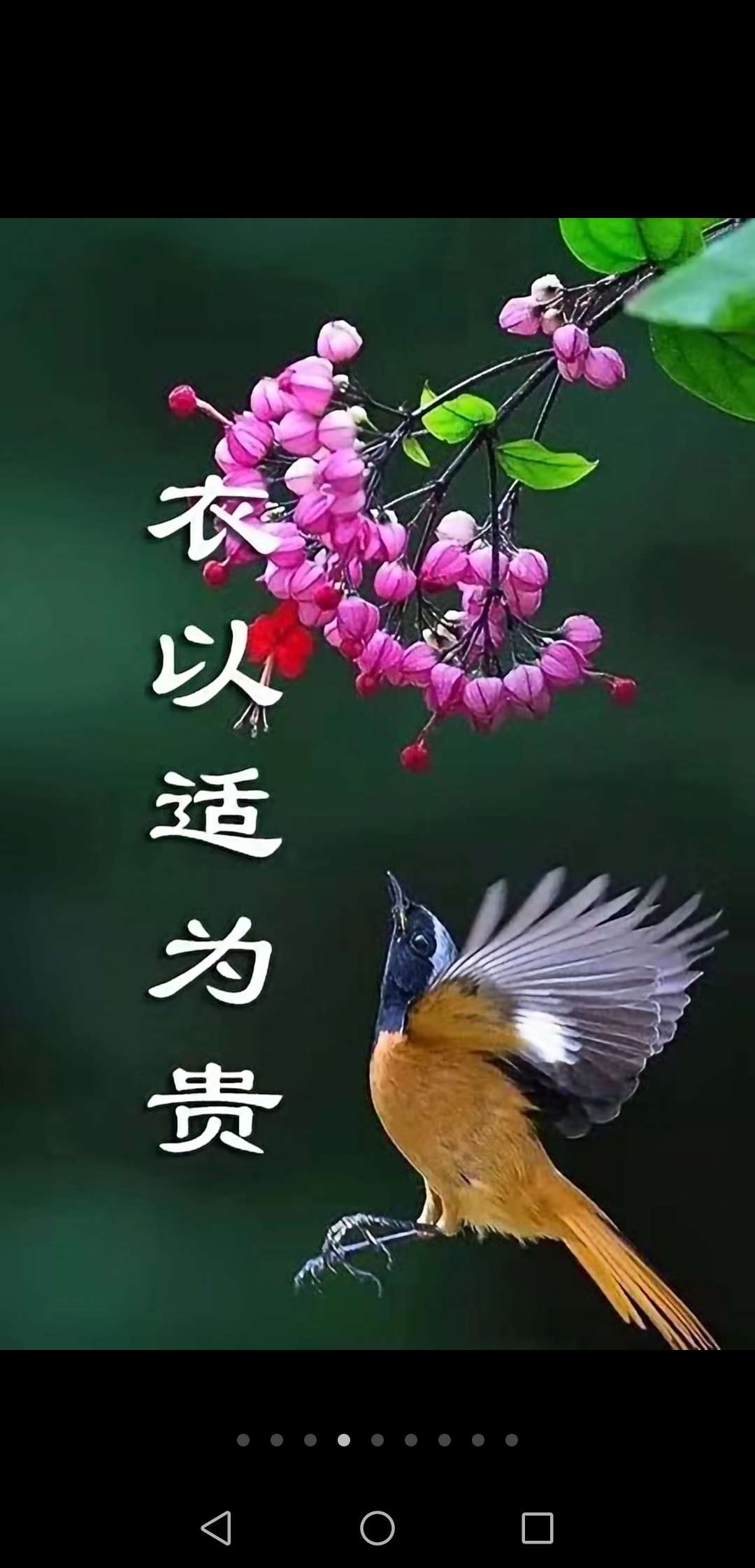 一个贵字含义深