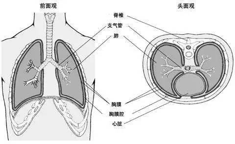 二十五癌症患者乾咳胸部疼痛可能是這個原因這些細節要注意