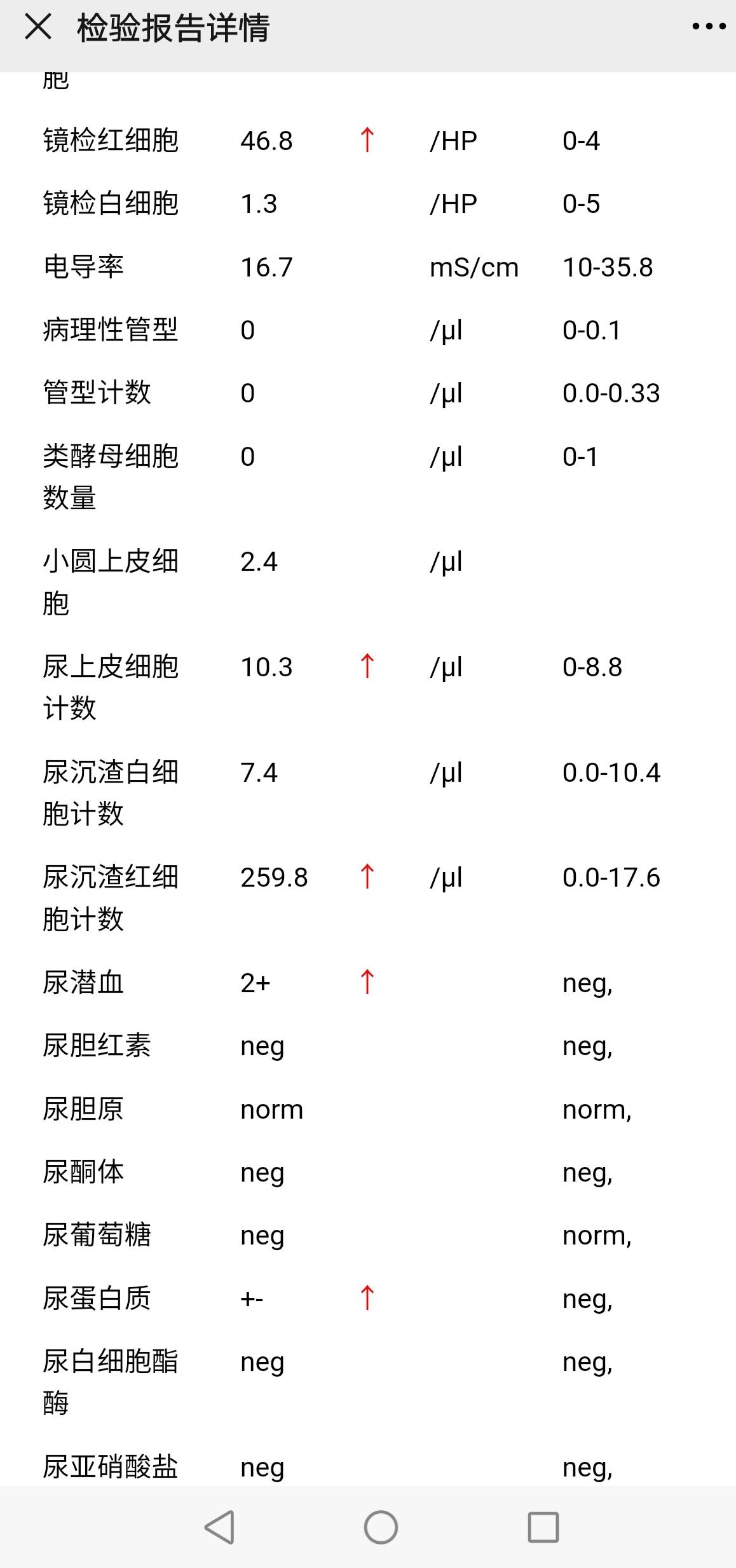 24小時尿蛋白038g尿常規潛血2這個是不是腎臟還是沒恢