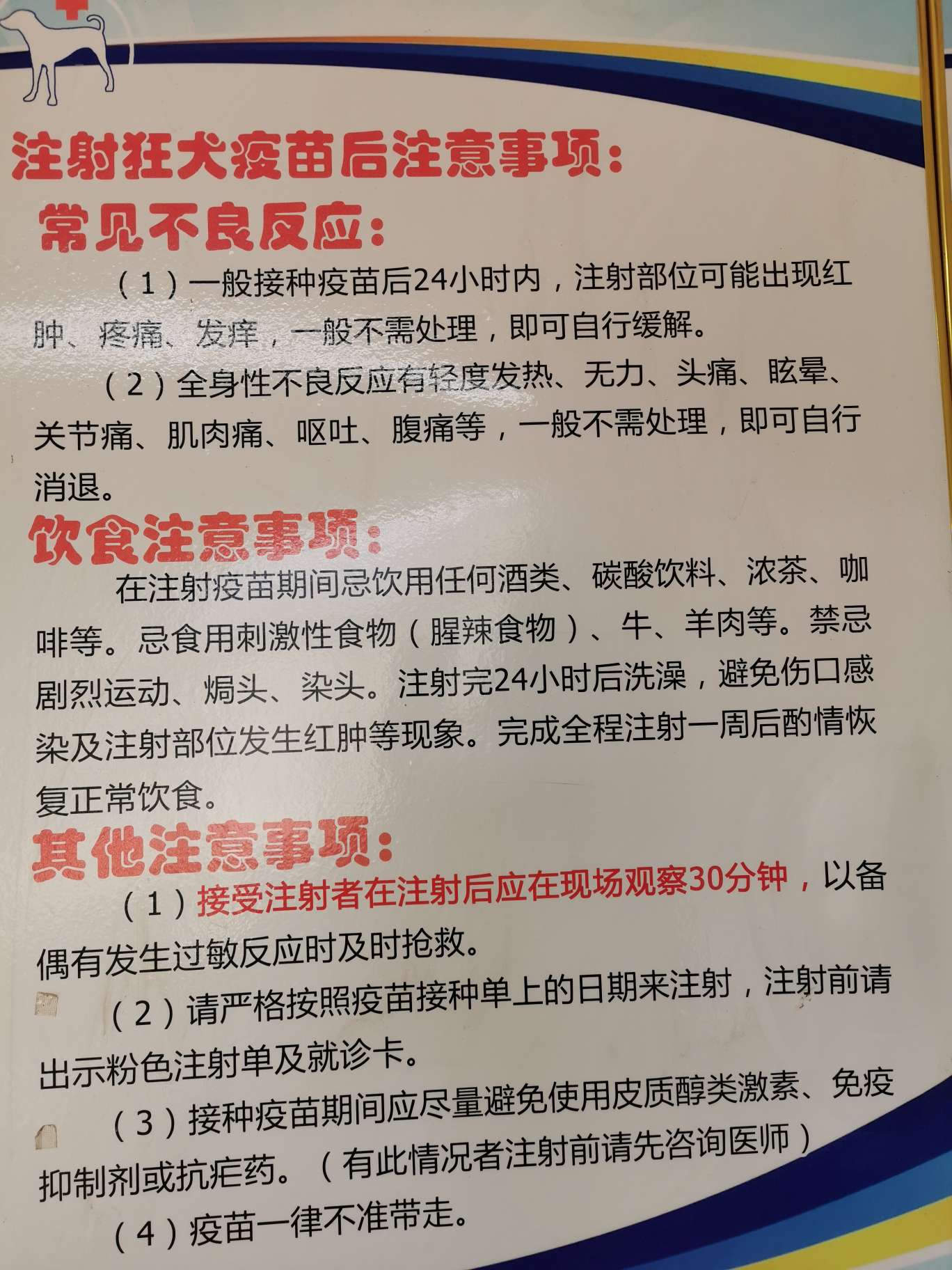 狂犬疫苗在哪打图片