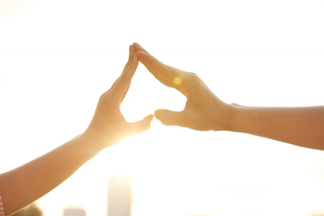 觅友图腾（家属）