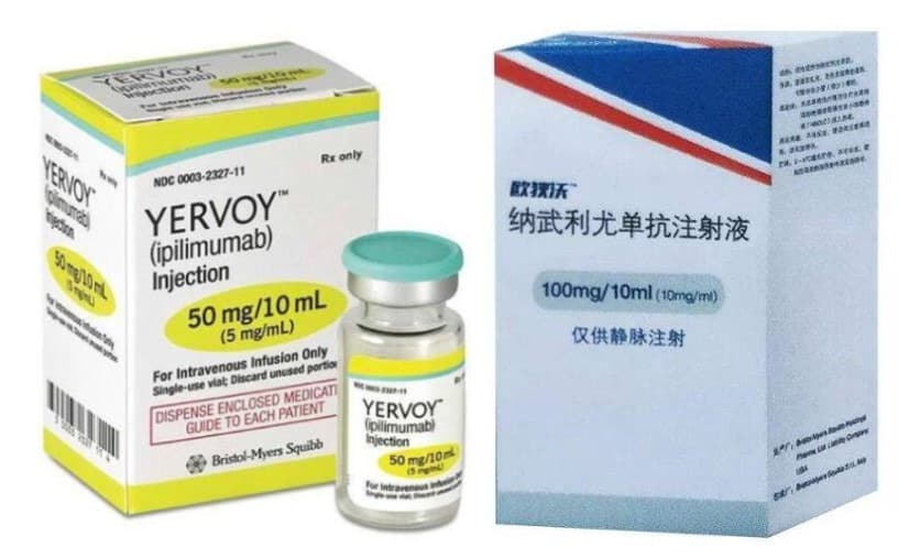 Y药的伊匹木单抗(商品名:逸沃)中国上市，Y药 O药开启双免疫治疗！