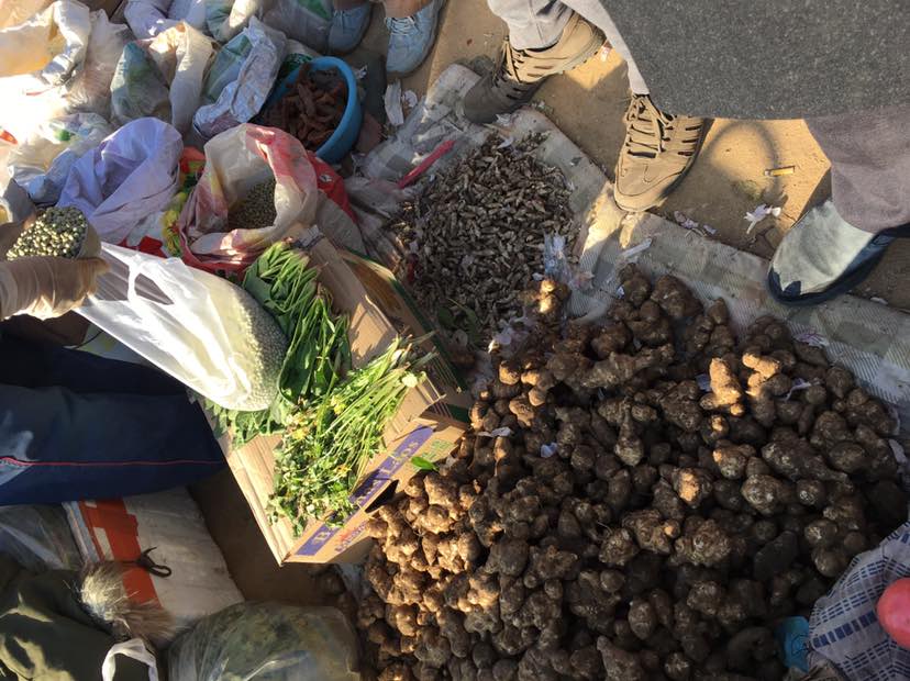 農村自種菜海產品小笨蛋花生小豆腐核桃,秦皇島本地產核桃.