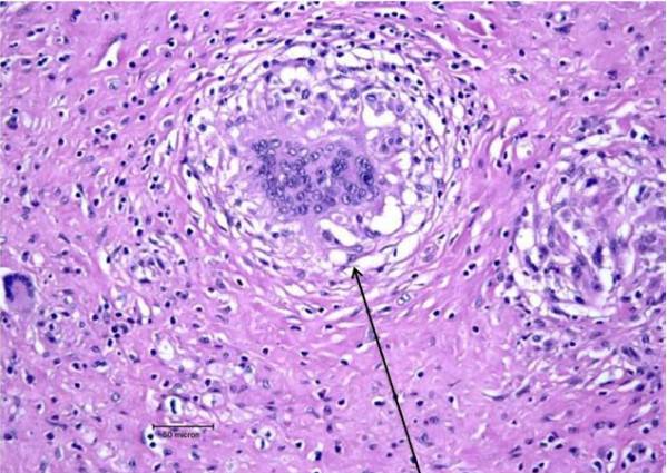 1448849638455177.jpg 1.jpg