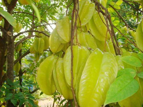 1461899683855747.jpg 20130711110123-2080326361.jpg