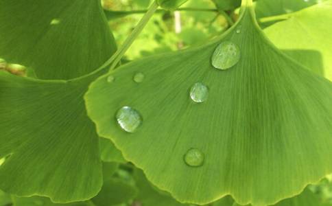 小满如何养生 小满时节的养生方法 小满时节养生