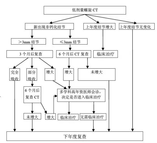 1483196922441518.jpg 640.webp (9).jpg