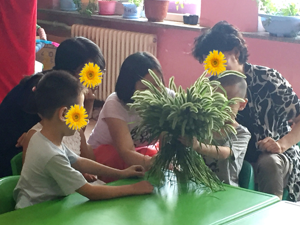 1484034404660516.png 园艺疗法2图片1.png