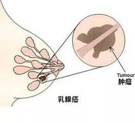 1537509136374295.jpg 微信图片_20180921134921.jpg