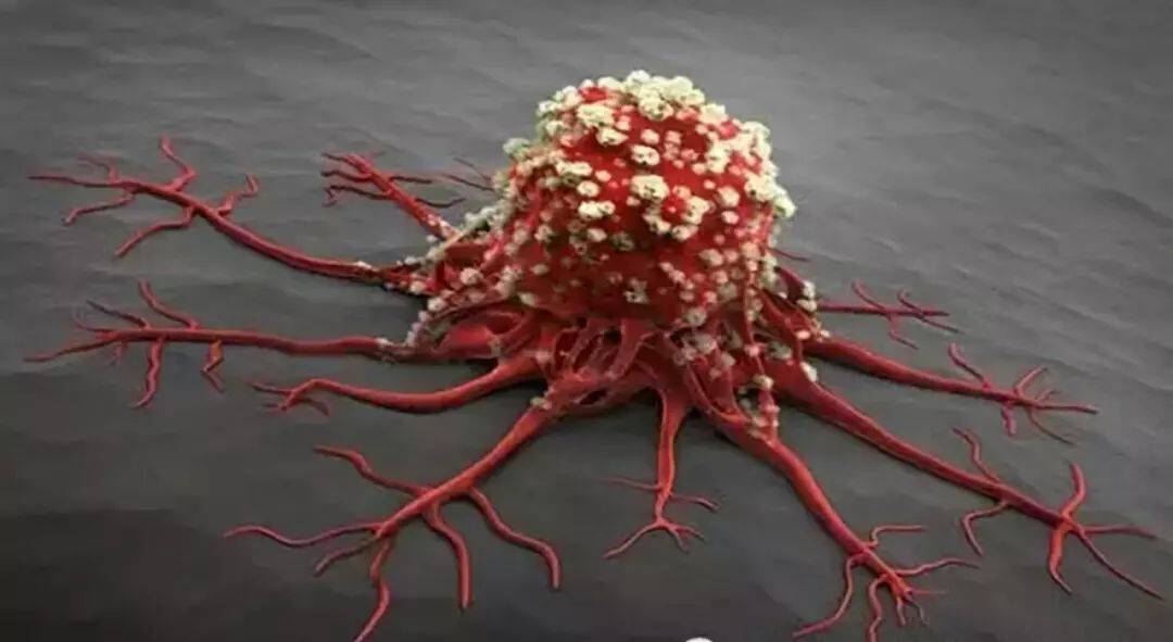 1541127945661731.jpg 微信图片_20181102110530.jpg