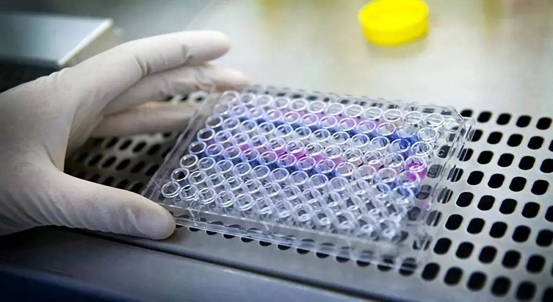 1541127963277387.jpg 微信图片_20181102110532.jpg