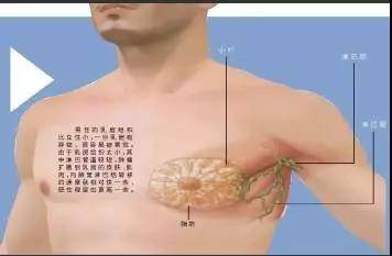 1541573361311921.jpg 微信图片_20181107144844.jpg