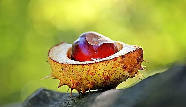 1541730970233118.jpg 微信图片_20181109103356.jpg