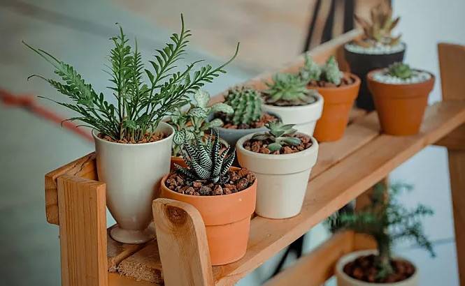 1541730980167431.jpg 微信图片_20181109103357.jpg